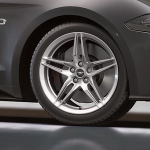 Platišče iz lahke zlitine 19" 5 x 2 kraki, srebrn